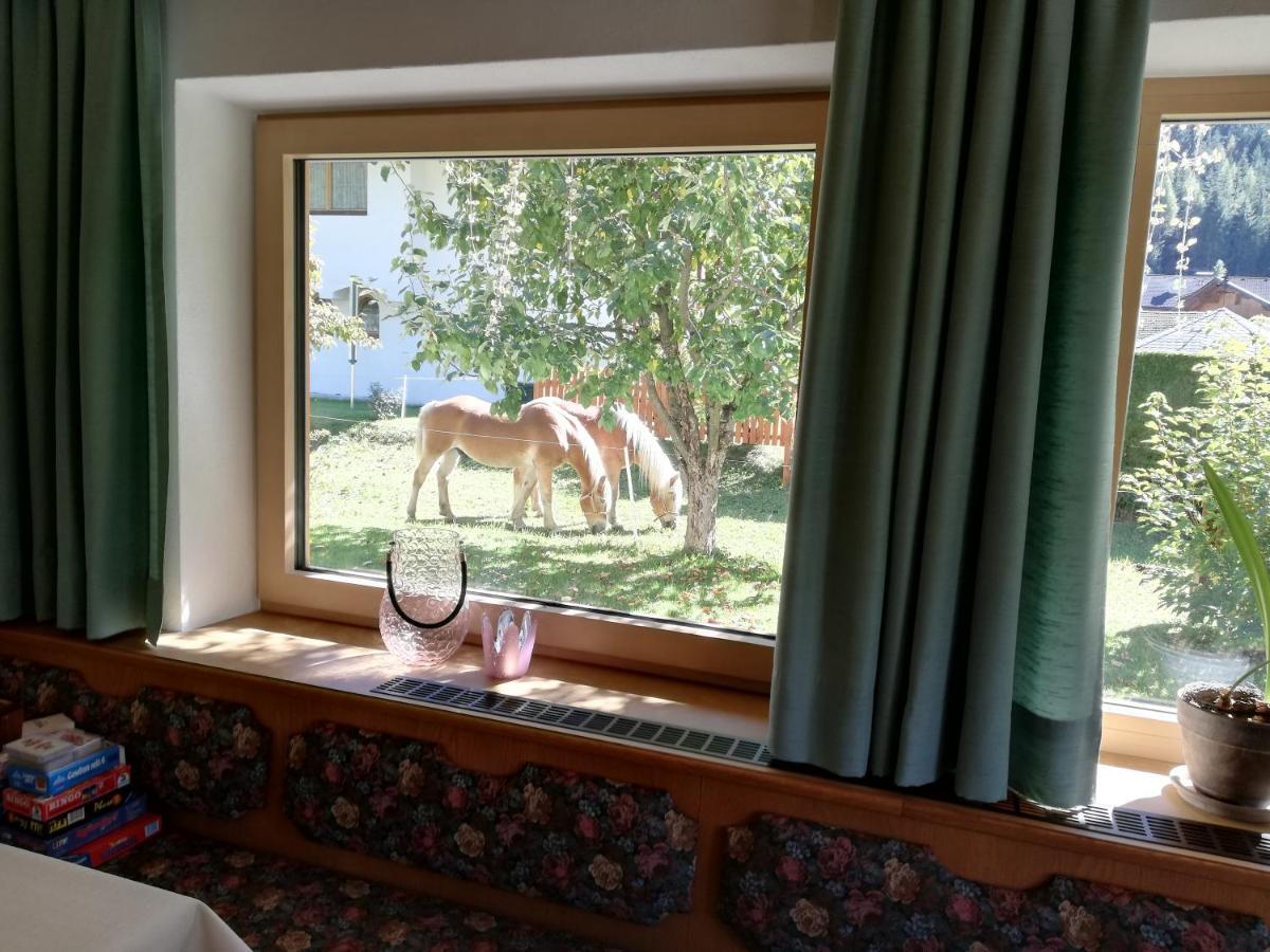 Pension Nigella Neustift im Stubaital Esterno foto